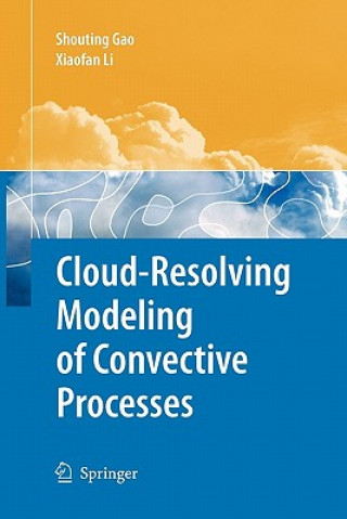 Livre Cloud-Resolving Modeling of Convective Processes Shouting Gao