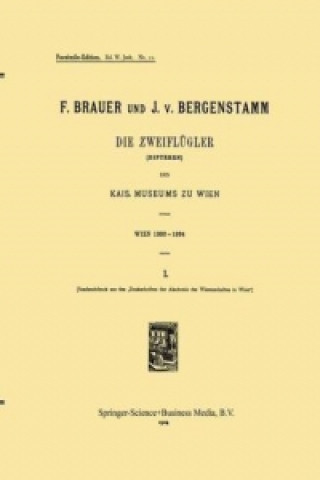 Kniha Temporary Title 19991103 F. Brauer