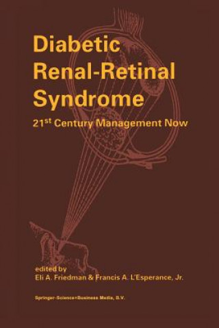 Könyv Diabetic Renal-Retinal Syndrome E. A. Friedman