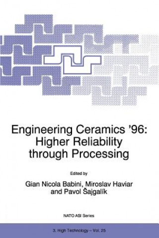 Kniha Engineering Ceramics '96: Higher Reliability through Processing G. N. Babini