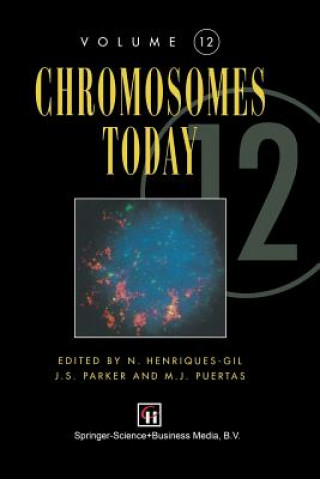 Buch Chromosomes Today N. Henriquez-Gil