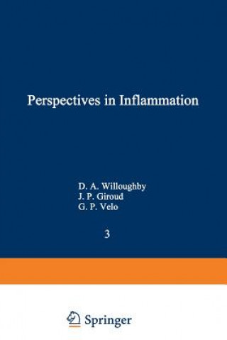 Boek Perspectives in Inflammation J. P. Giroud