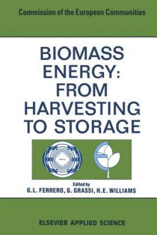 Kniha Biomass Energy G. L. Ferrero