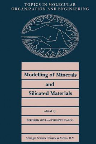 Kniha Modelling of Minerals and Silicated Materials P. D'Arco