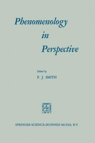 Könyv Phenomenology in Perspective Smith