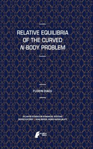 Könyv Relative Equilibria of the Curved N-Body Problem Florin Diacu