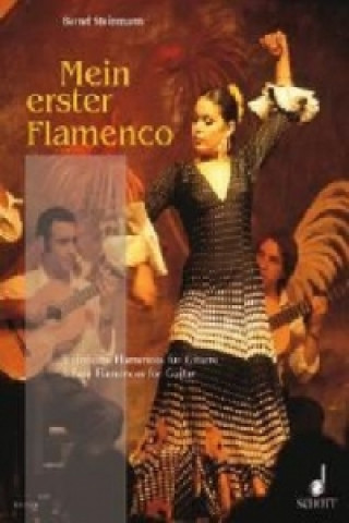 Tiskovina Mein erster Flamenco, Gitarre Bernd Steinmann