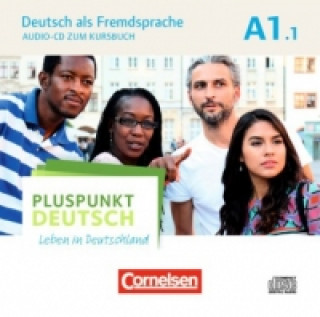 Audio Pluspunkt Deutsch - Leben in Deutschland - Allgemeine Ausgabe - A1: Teilband 1. Tl.1 Joachim Schote