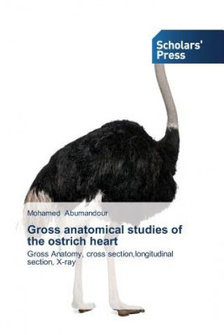 Carte Gross anatomical studies of the ostrich heart Mohamed Abumandour