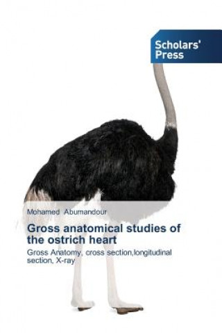 Book Gross anatomical studies of the ostrich heart Mohamed Abumandour