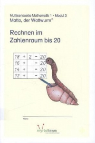 Kniha Lernstufe 1 - Modul 3: Rechnen im Zahlenraum bis 20 