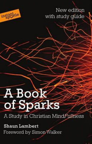 Knjiga Book of Sparks Shaun Lambert