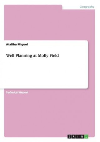 Carte Well Planning at Molly Field Ataliba Miguel