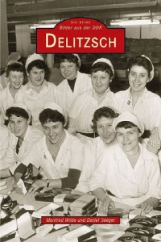 Könyv Delitzsch Manfred Wilde