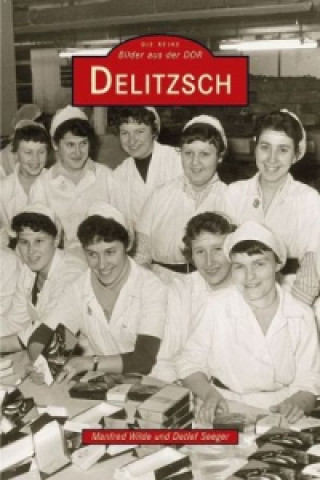 Książka Delitzsch Manfred Wilde