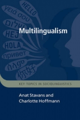 Buch Multilingualism Anat Stavans