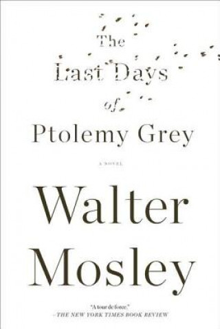 Könyv Last Days of Ptolemy Grey Walter Mosley