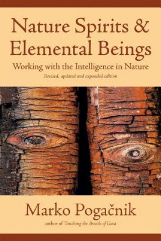 Kniha Nature Spirits & Elemental Beings Marko Pogačnik