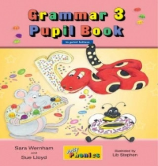 Kniha Grammar 3 Pupil Book Sara Wernham