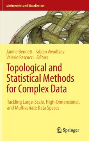 Kniha Topological and Statistical Methods for Complex Data Janine Bennett