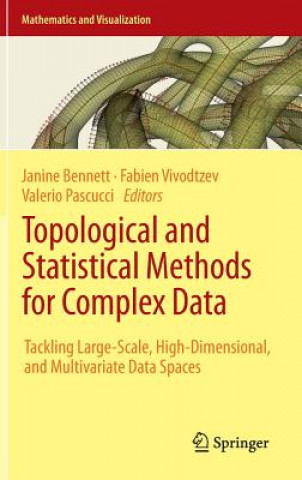 Książka Topological and Statistical Methods for Complex Data Janine Bennett