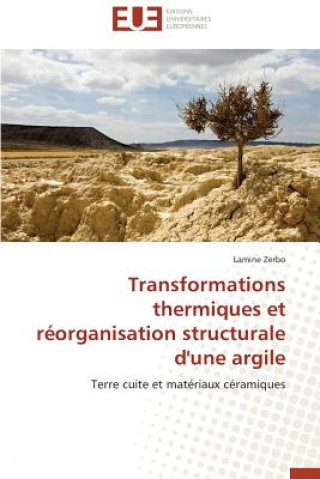 Kniha Transformations Thermiques Et R organisation Structurale d'Une Argile Lamine Zerbo