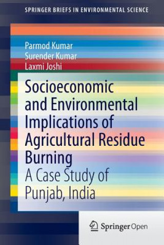 Kniha Socioeconomic and Environmental Implications of Agricultural Residue Burning Parmod Kumar