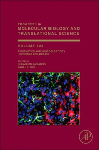 Kniha Epigenetics and Neuroplasticity - Evidence and Debate Schahram Akbarian