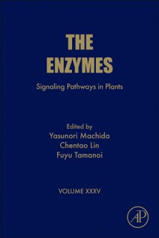 Könyv Signaling Pathways in Plants Yasunori Machida