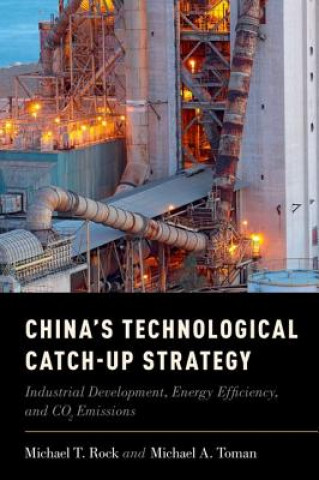 Kniha China's Technological Catch-Up Strategy Michael T Rock