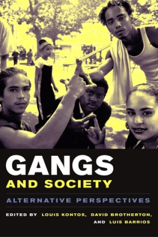 Könyv Gangs and Society Louis Kontos