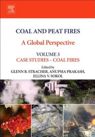 Kniha Coal and Peat Fires: A Global Perspective GlennB. Stracher