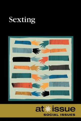 Kniha Sexting 