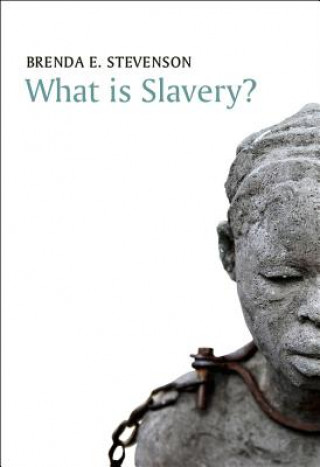Buch What is Slavery? Brenda Stevenson