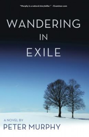 Carte Wandering in Exile Peter Murphy