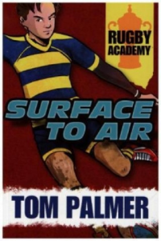 Livre Surface to Air Tom Palmer