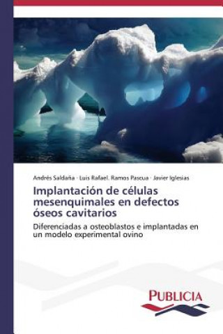 Könyv Implantacion de celulas mesenquimales en defectos oseos cavitarios Luis Rafael. Ramos Pascua