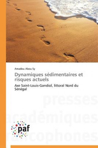 Knjiga Dynamiques Sedimentaires Et Risques Actuels Amadou Abou S. Y.