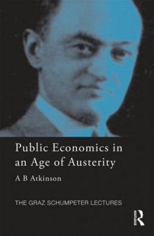 Könyv Public Economics in an Age of Austerity Tony Atkinson