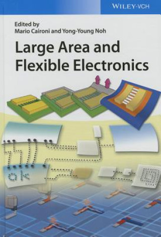 Carte Large Area and Flexible Electronics Mario Caironi