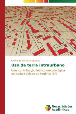 Kniha Uso da terra intraurbano Cinthia de Almeida Fagundes