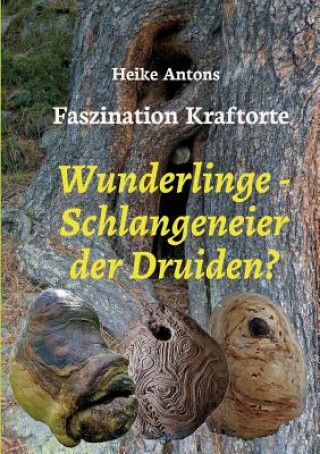 Kniha Wunderlinge - Schlangeneier der Druiden? Heike Antons