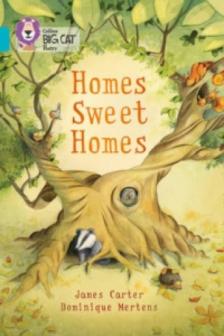 Book Homes Sweet Homes James Carter