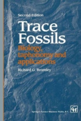 Kniha Trace Fossils R. G. Bromley