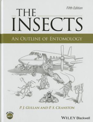Carte Insects - An Outline of Entomology P J Gullan