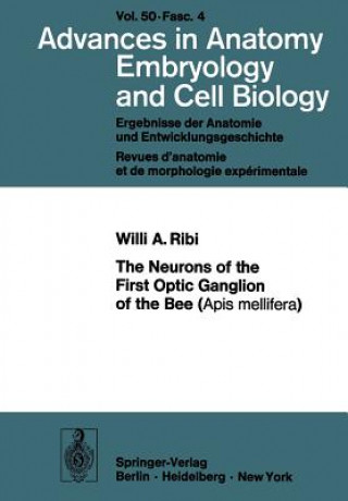 Kniha Neurons of the First Optic Ganglion of the Bee (Apis mellifera) W.A. Ribi