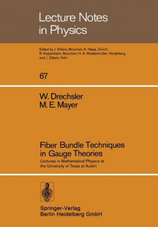 Kniha Fiber Bundle Techniques in Gauge Theories W. Drechsler
