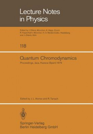 Libro Quantum Chromodynamics J. L. Alonso