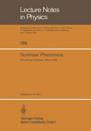 Kniha Nonlinear Phenomena K. B. Wolf