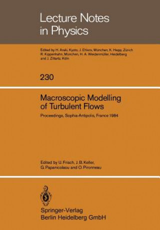 Książka Macroscopic Modelling of Turbulent Flows Uriel Frisch